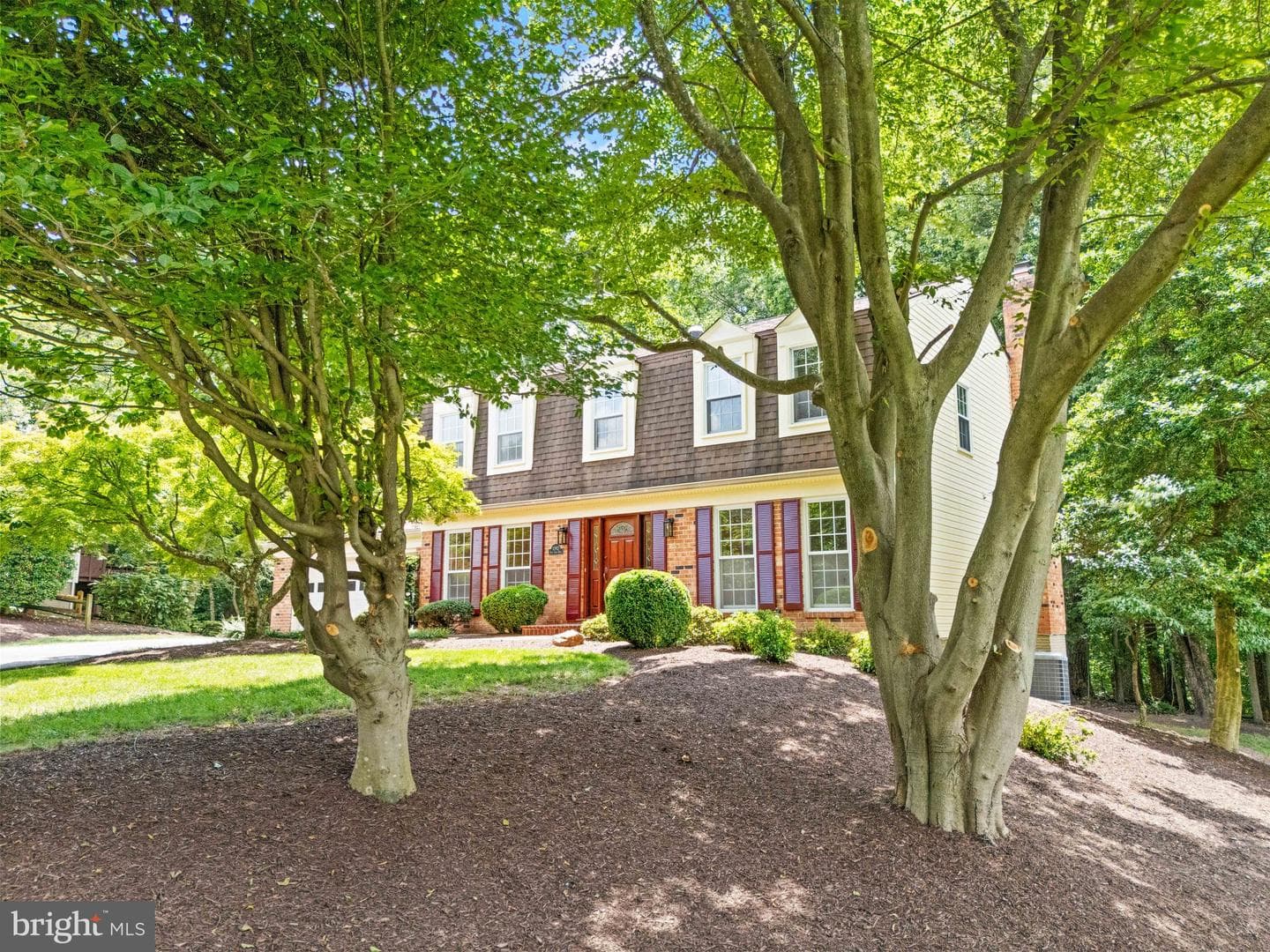 10912 Blue Roan Road photo 6