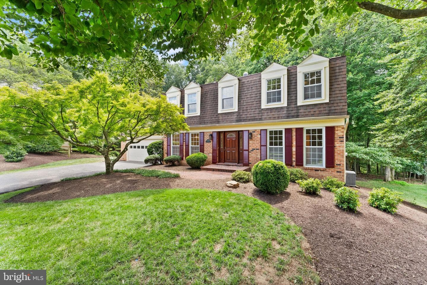 10912 Blue Roan Road photo 7