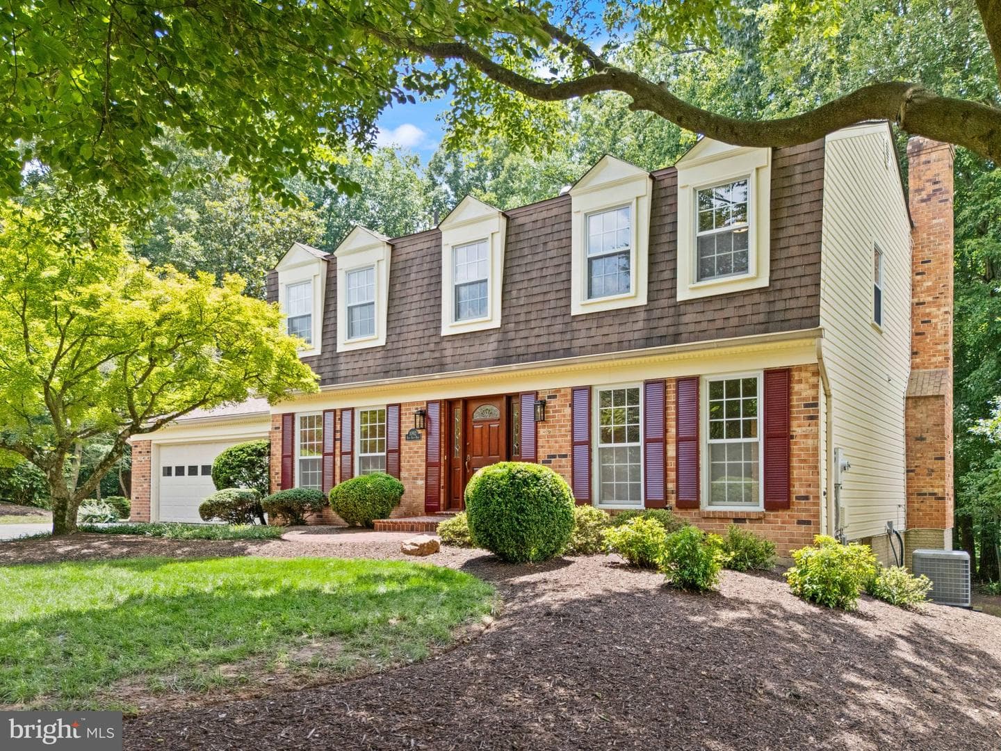 10912 Blue Roan Road photo 8