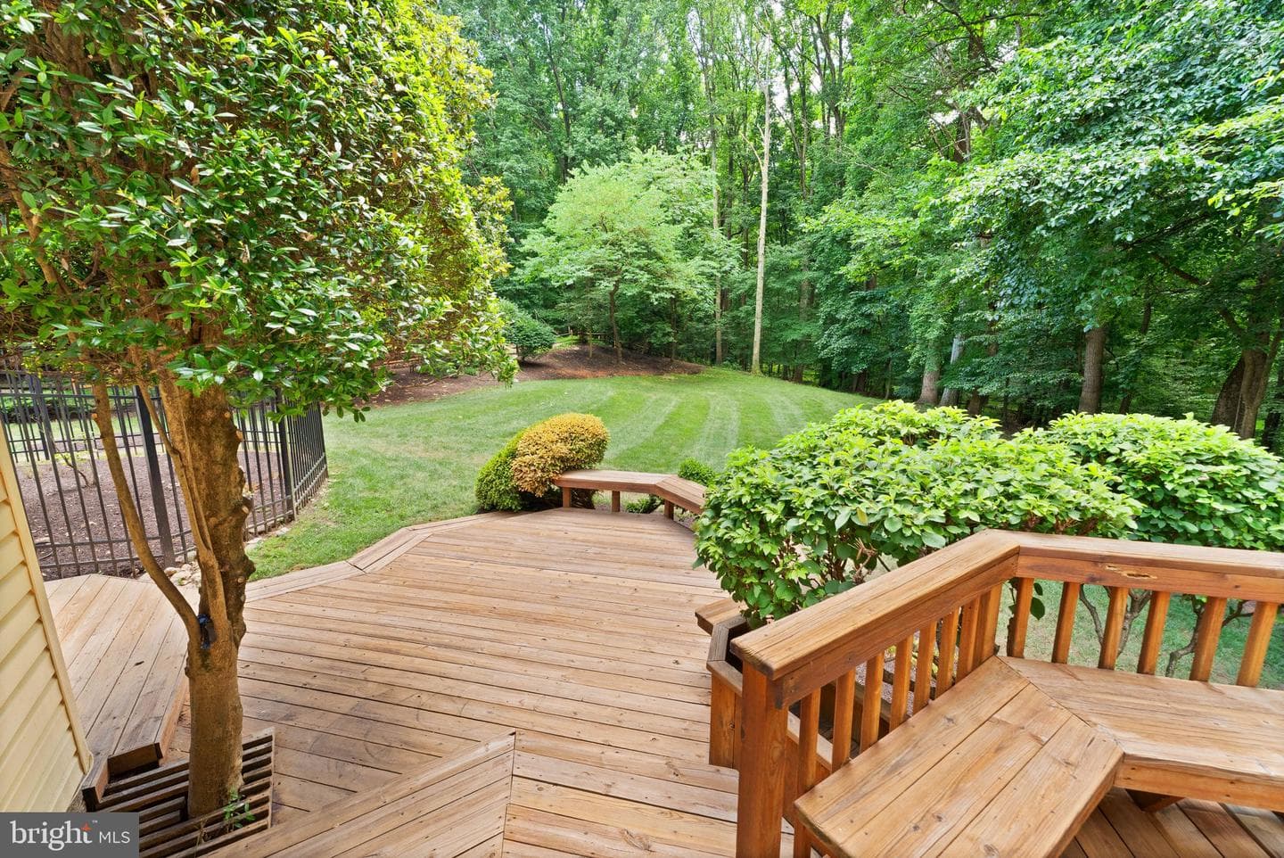 10912 Blue Roan Road photo 83