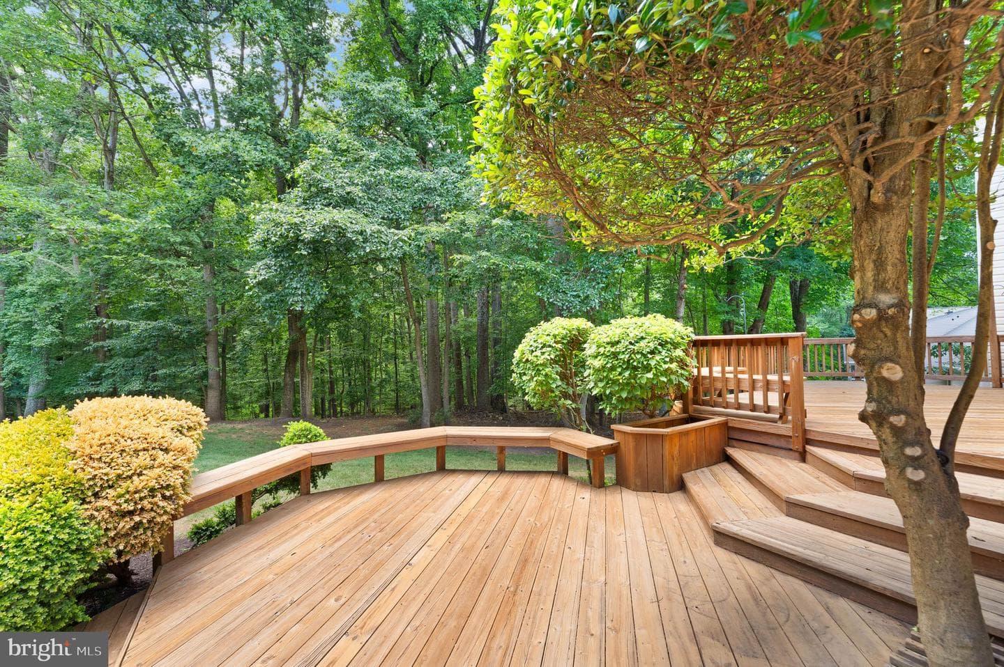 10912 Blue Roan Road photo 84
