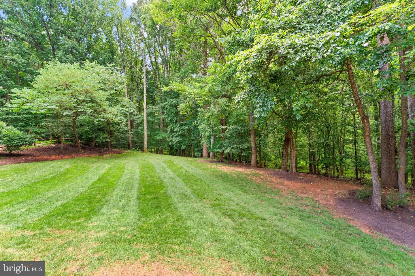10912 Blue Roan Road photo 91