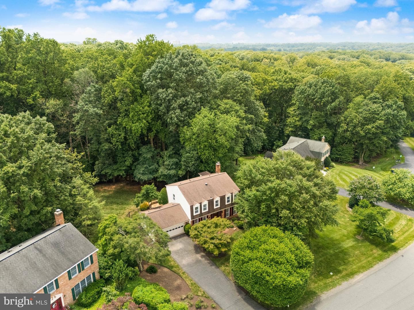 10912 Blue Roan Road photo 96