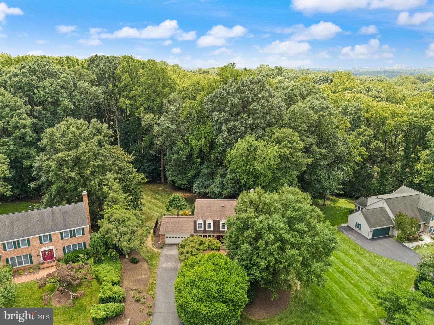 10912 Blue Roan Road photo 97