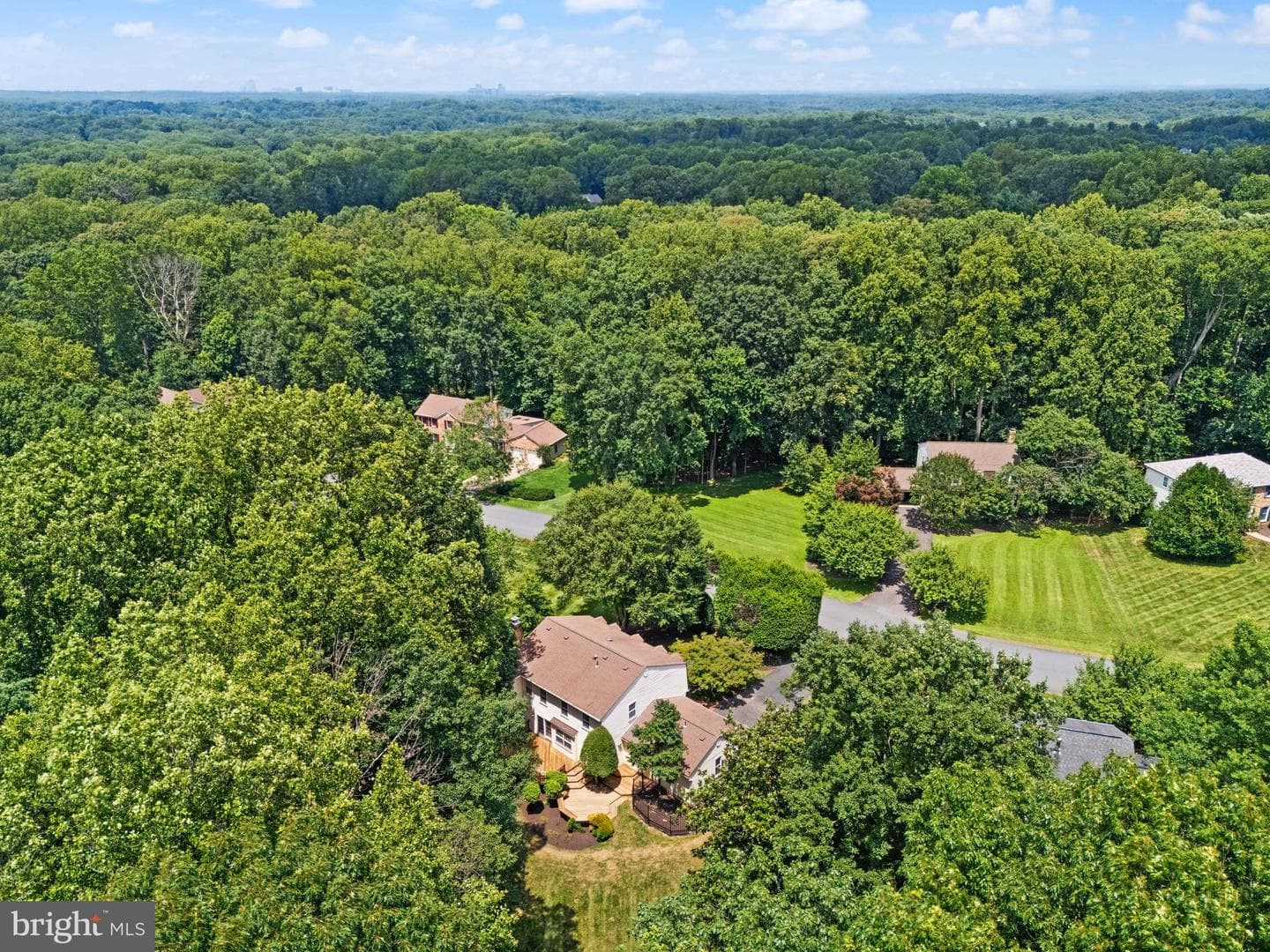 10912 Blue Roan Road photo 99