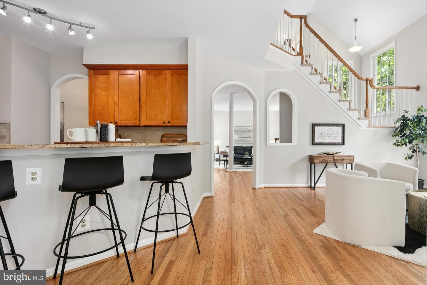 11415 Hollow Timber Court photo 4
