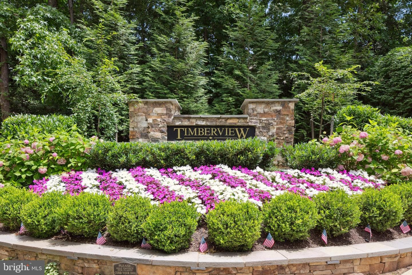 11415 Hollow Timber Court photo 43