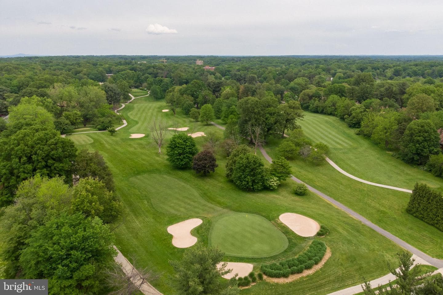 11415 Hollow Timber Court photo 46