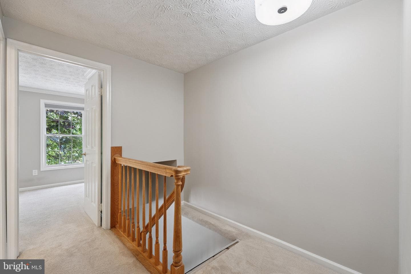 1511 Twisted Oak Drive photo 20