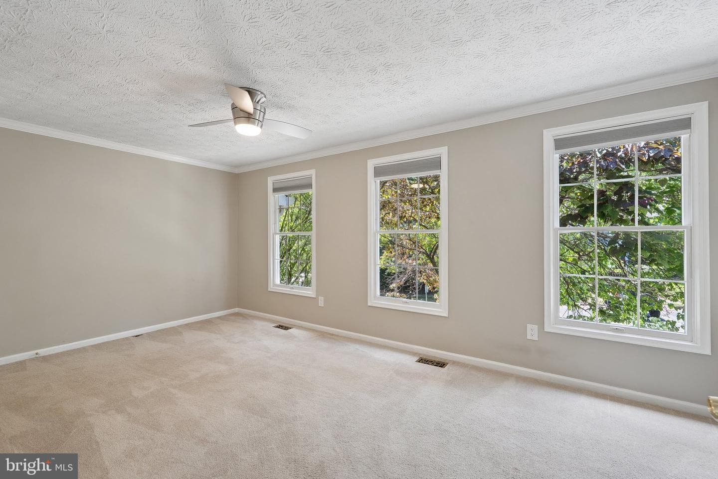 1511 Twisted Oak Drive photo 21