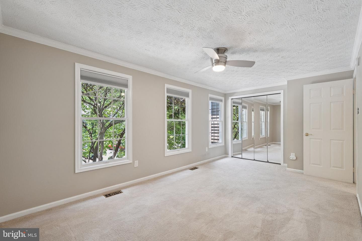 1511 Twisted Oak Drive photo 22