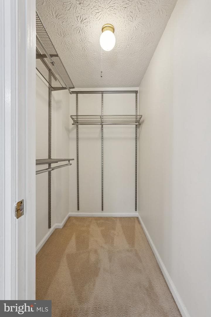 1511 Twisted Oak Drive photo 25