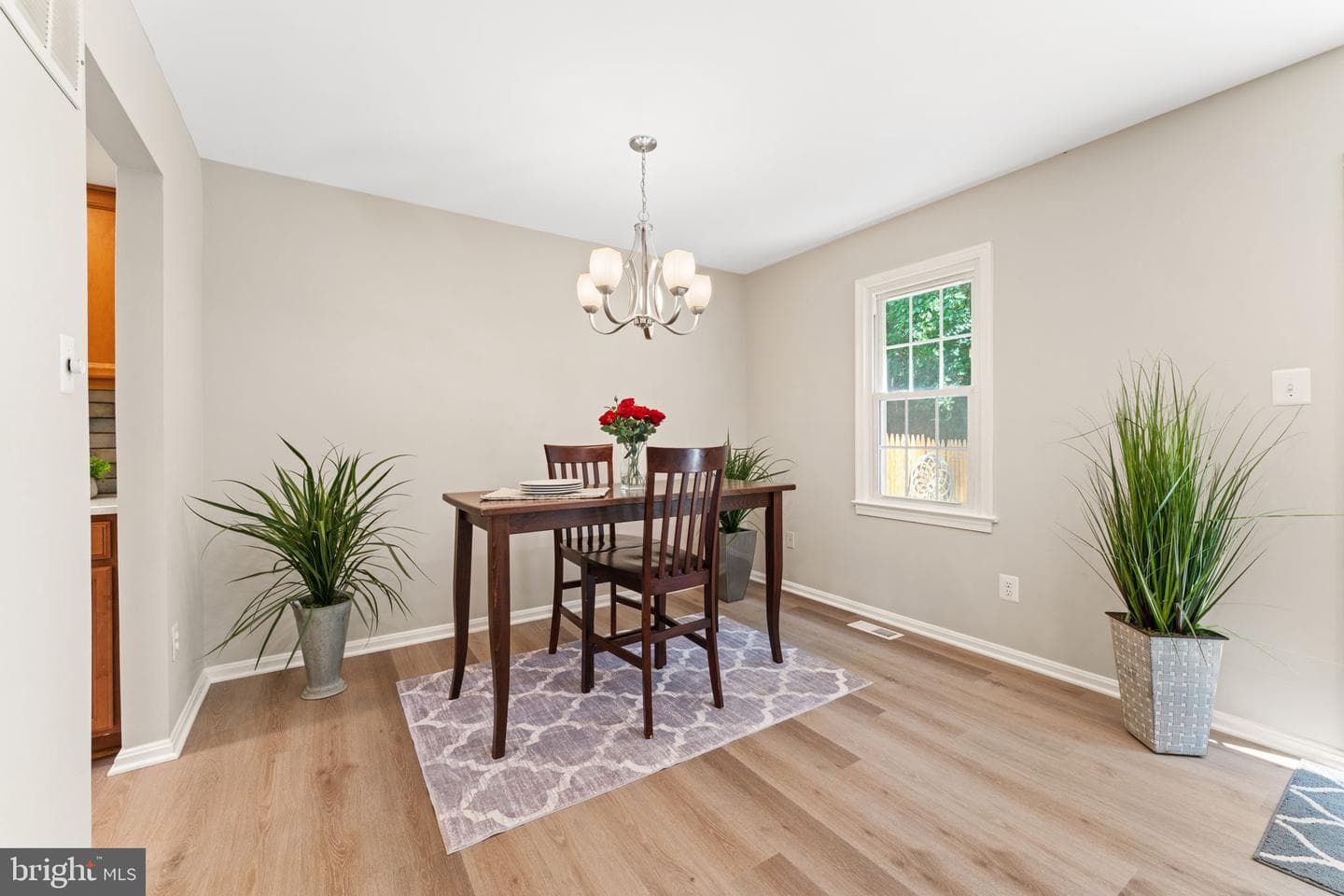 8573 Chester Grove Court photo 11