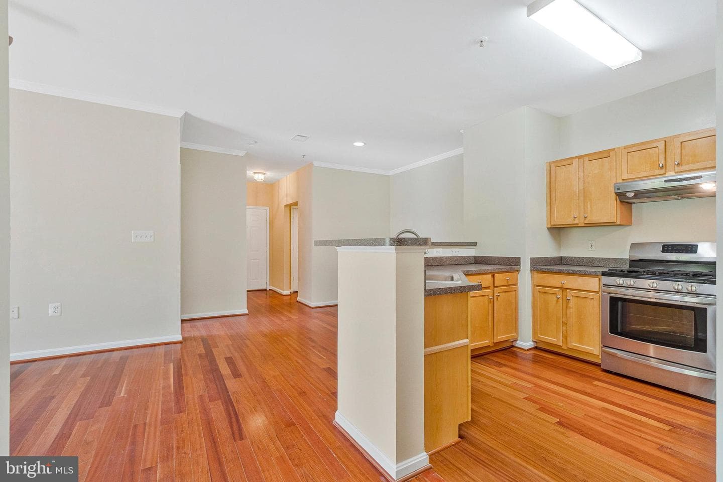 13329 Connor Drive #g photo 9