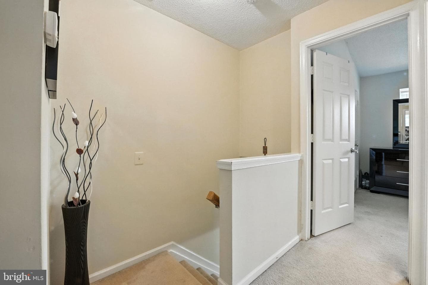 6529 Old Carriage Drive photo 15