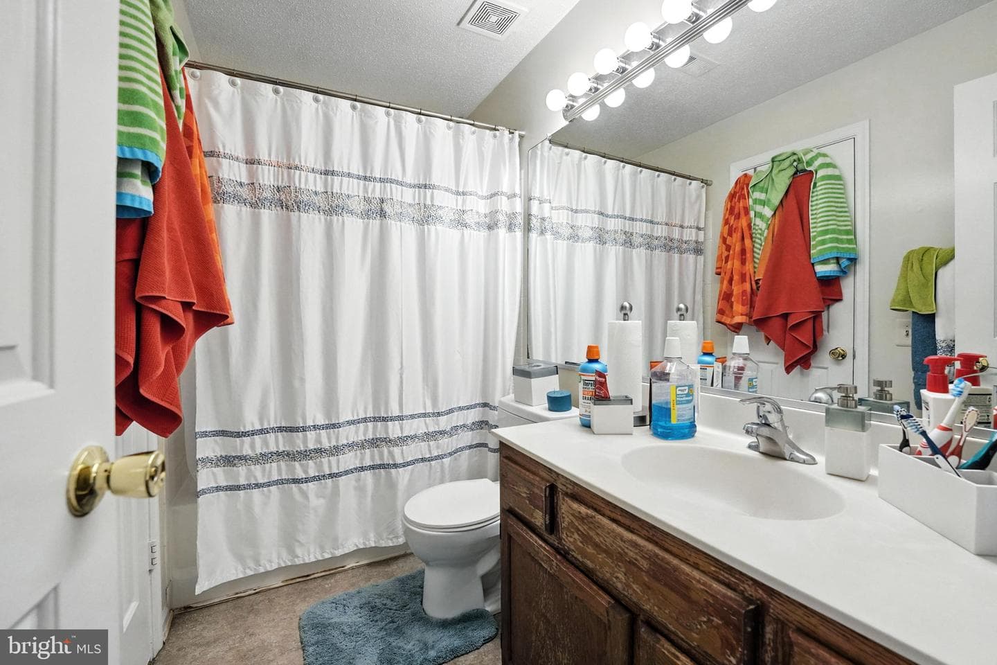6529 Old Carriage Drive photo 16