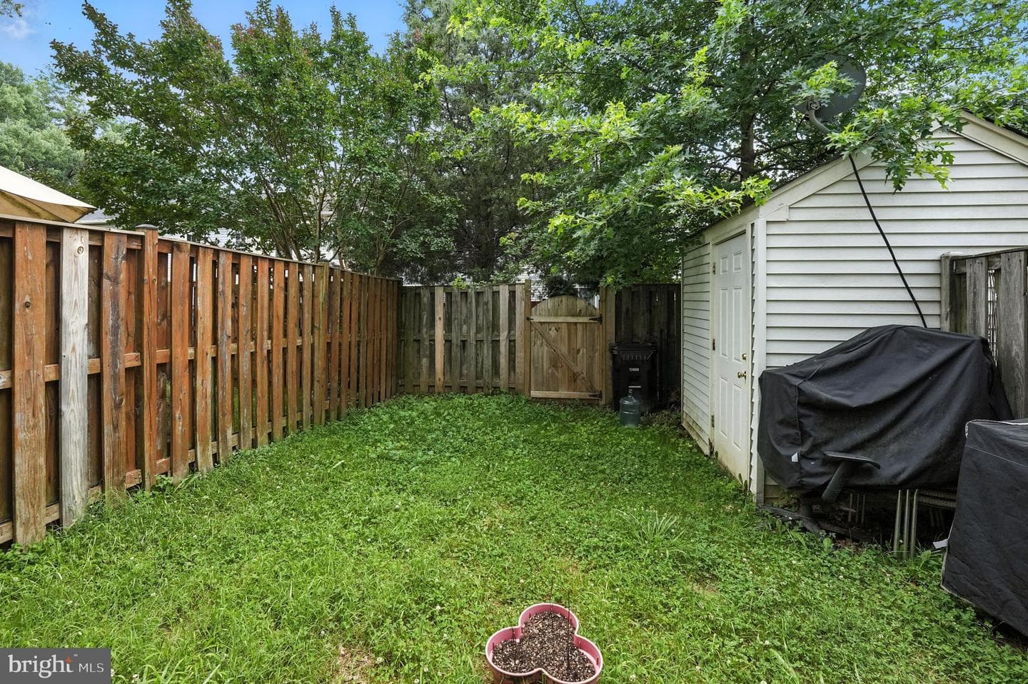 6529 Old Carriage Drive photo 19