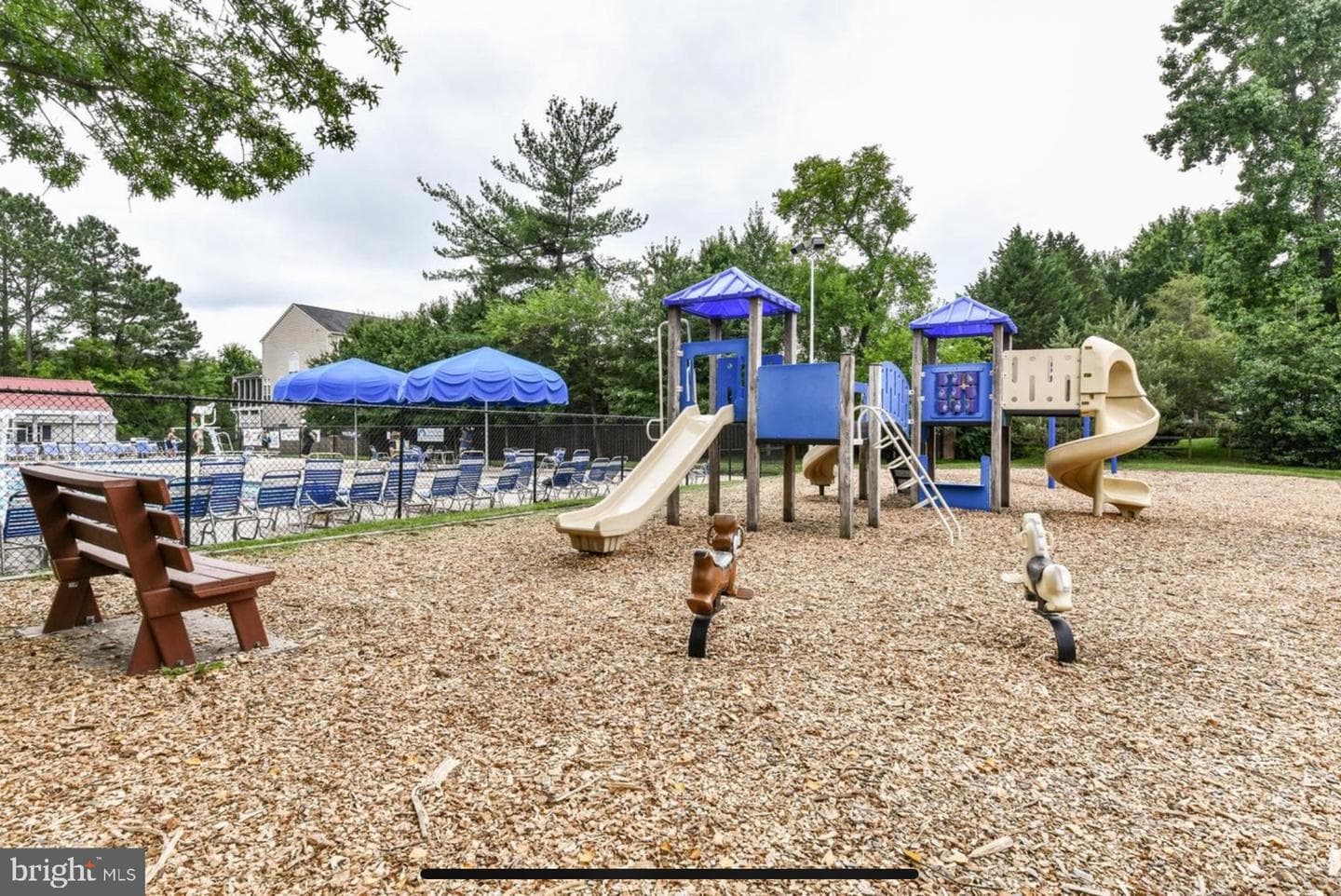 12704 Fantasia Drive photo 54