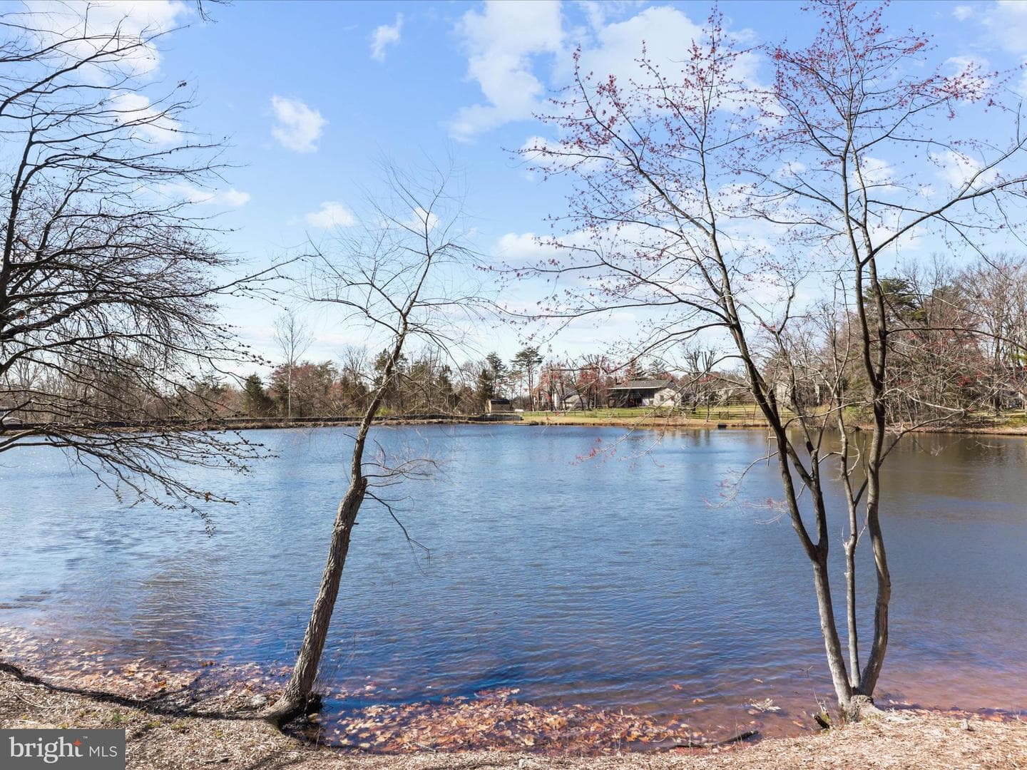 13505 Clear Lake Court photo 56