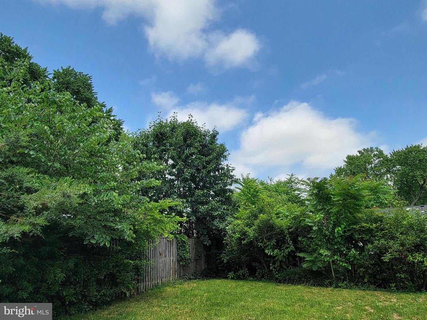 6308 Hawaii Court photo 33