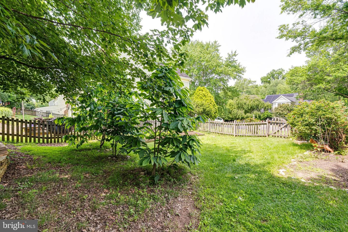 12333 Cliveden Street photo 52