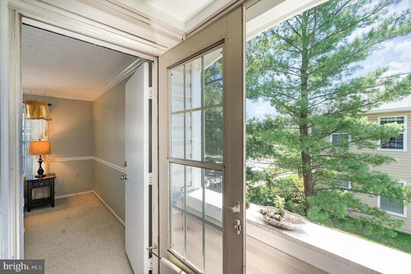7823 Harrowgate Circle #d photo 20