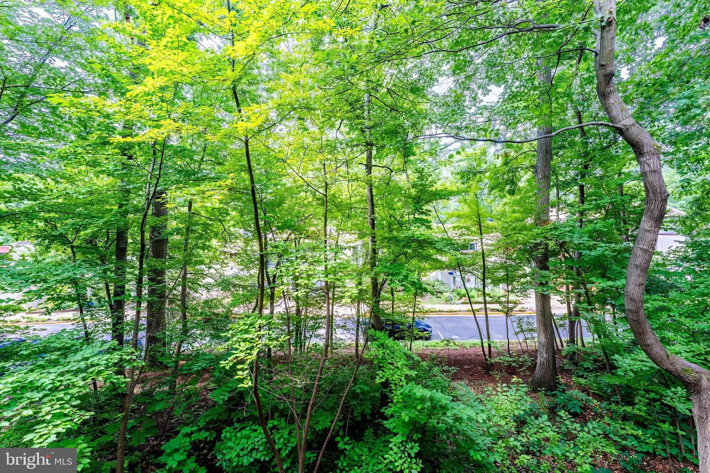 1568 Moorings Drive #11b photo 36