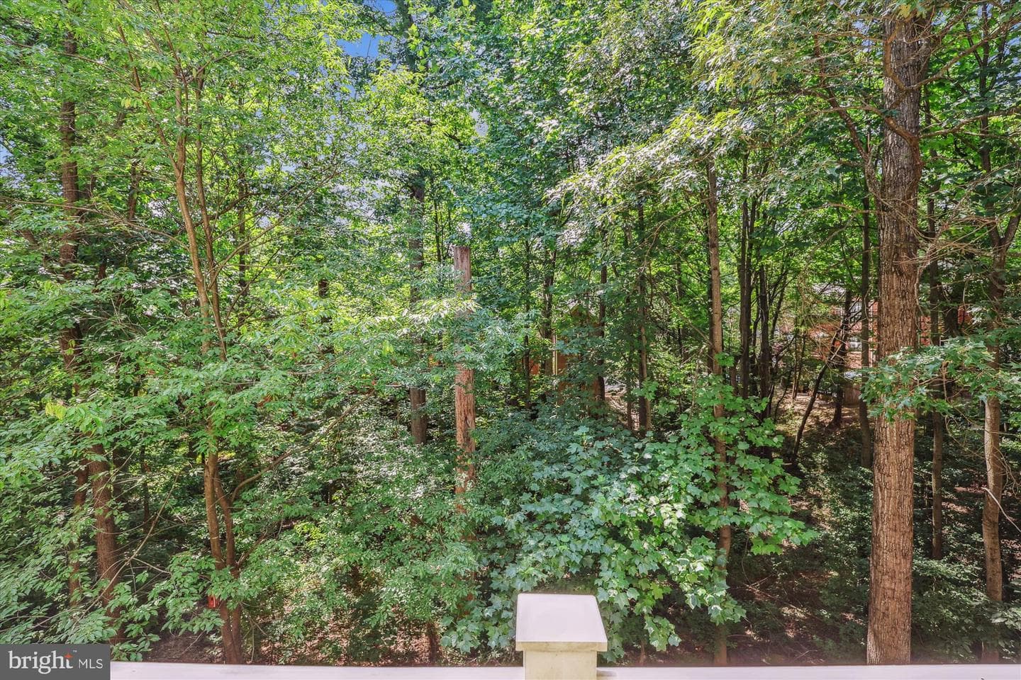 1307 Windleaf Drive #139 - N photo 22