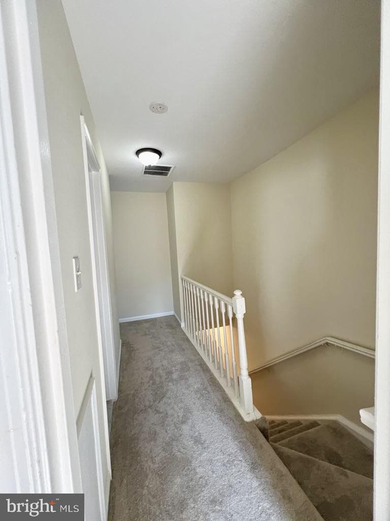 3123 Valentino Court photo 10