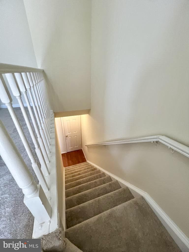 3123 Valentino Court photo 11