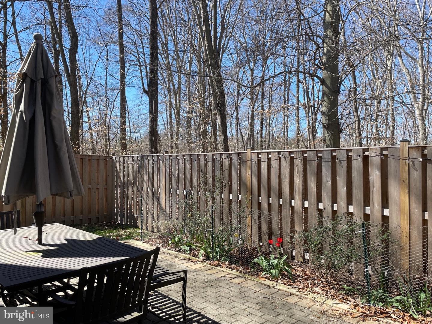 7730 Shadowcreek Terrace photo 9