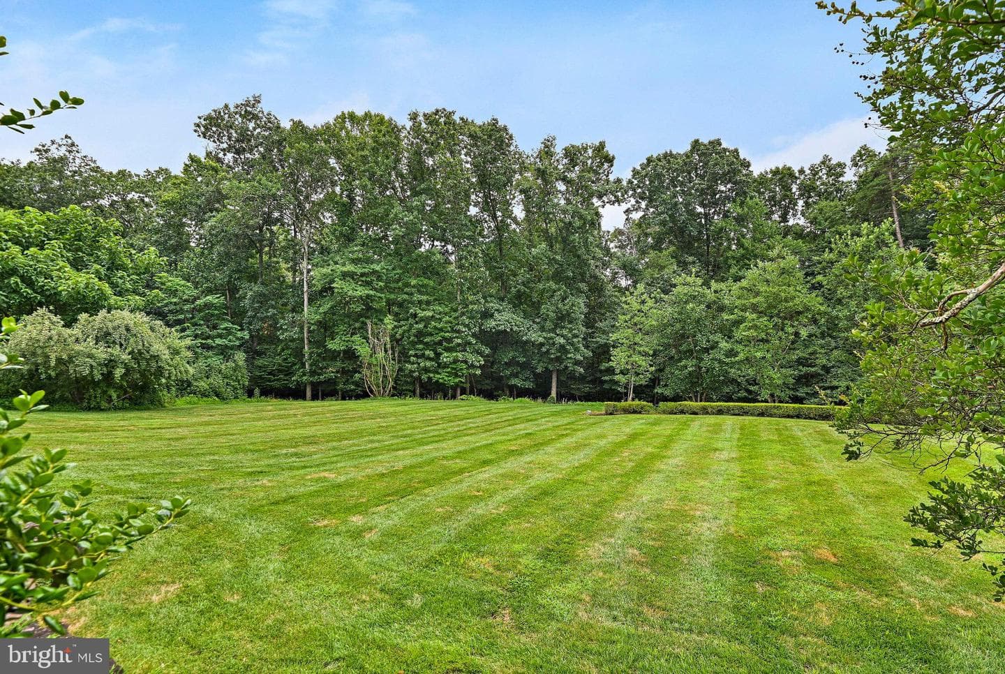 11100 Kings Cavalier Court photo 136