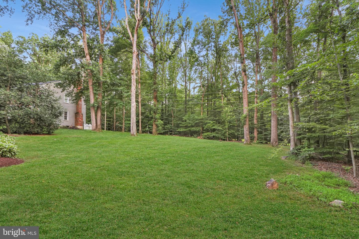 11017 Highridge Street photo 50