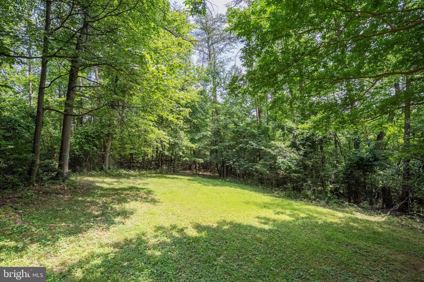 1017 Towlston Road photo 54
