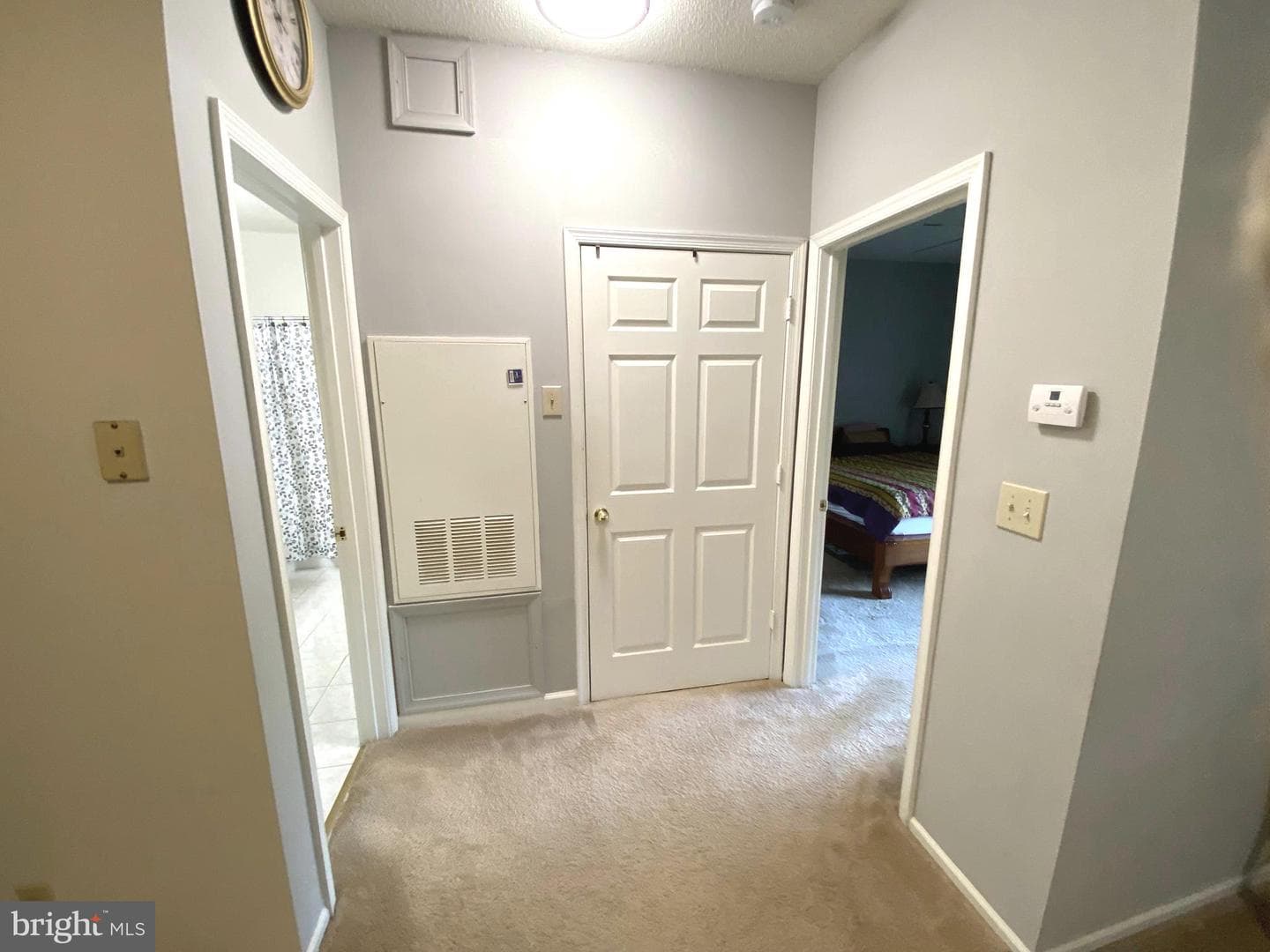 14322 Climbing Rose Way #205 photo 22