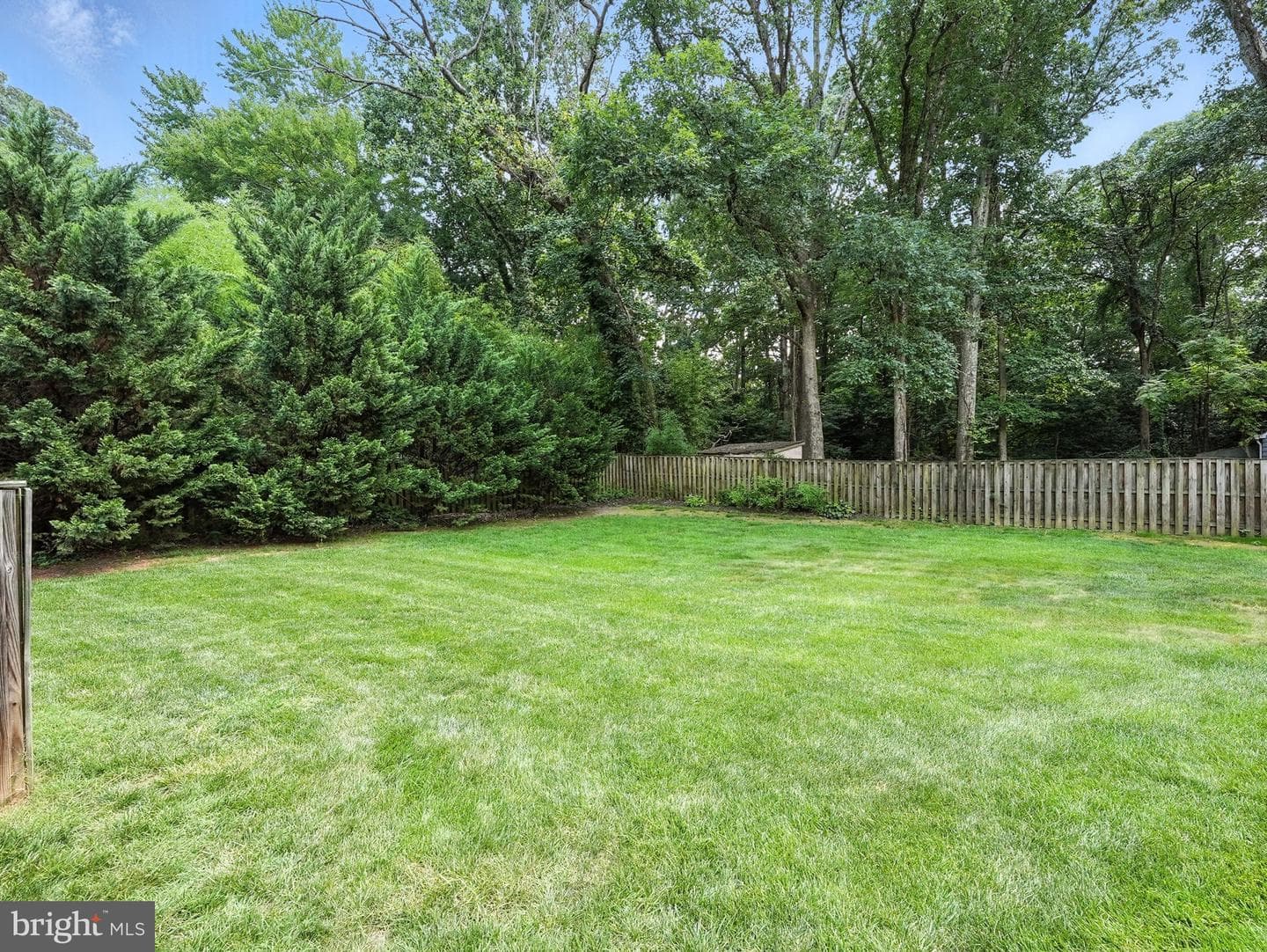 4725 Spruce Avenue photo 65
