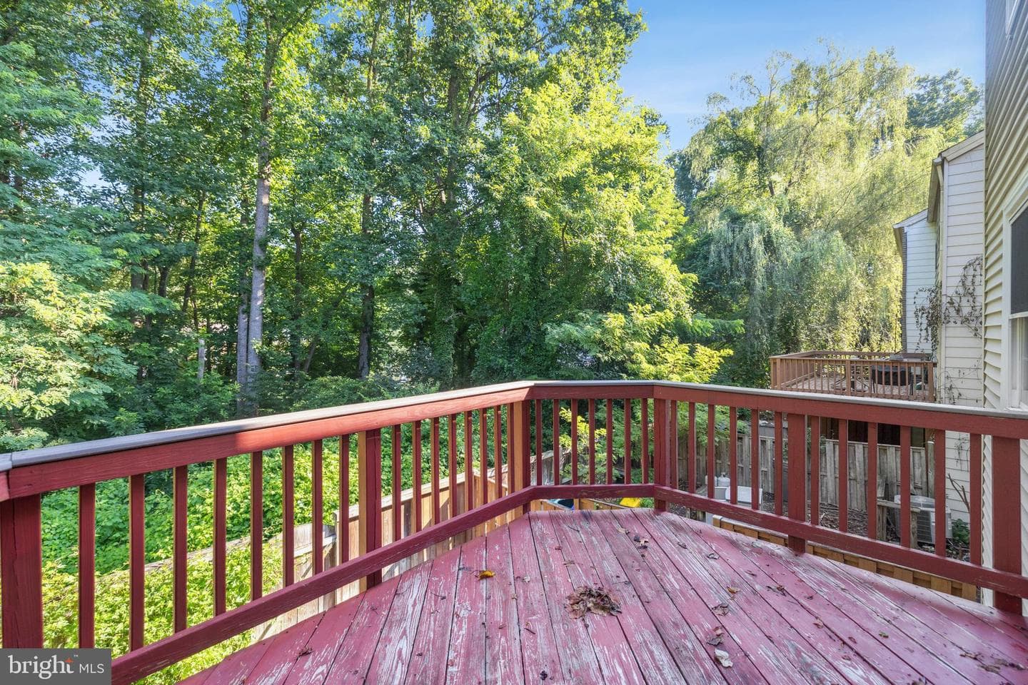 9420 Candleberry Court photo 16