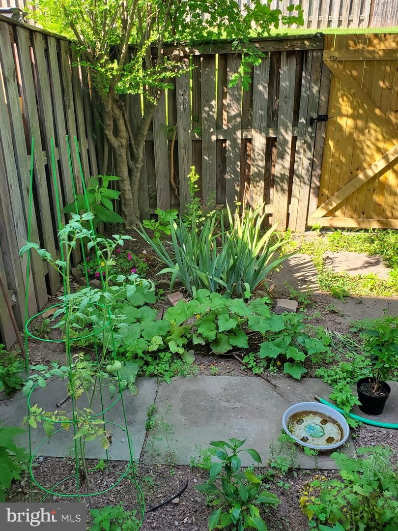 14552 Truro Parish Court photo 29