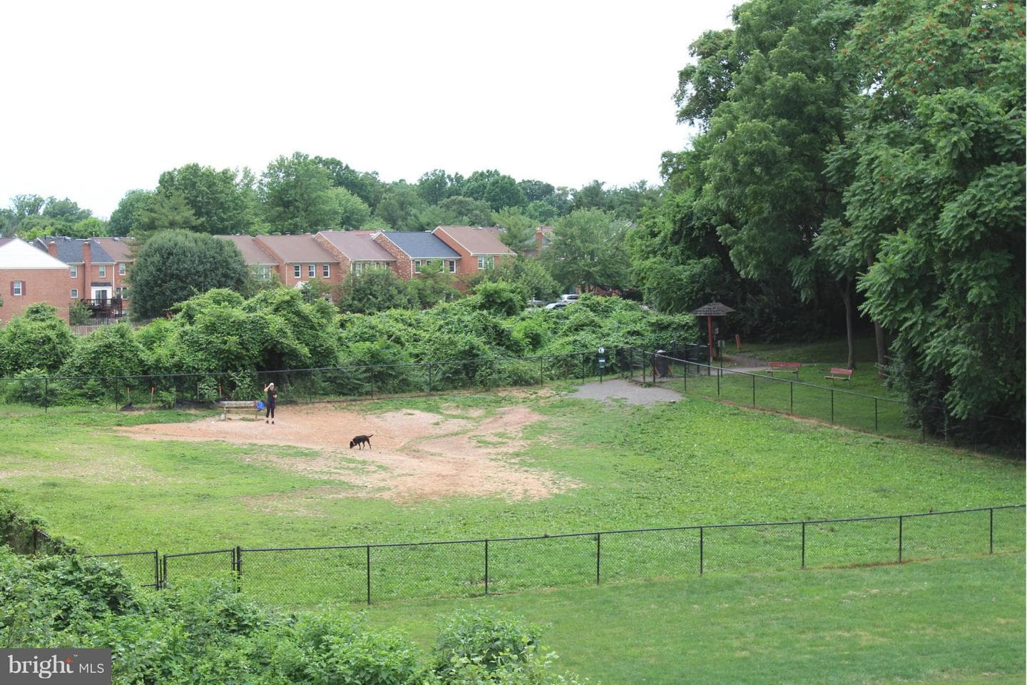 10017 Oakton Terrace Road photo 15