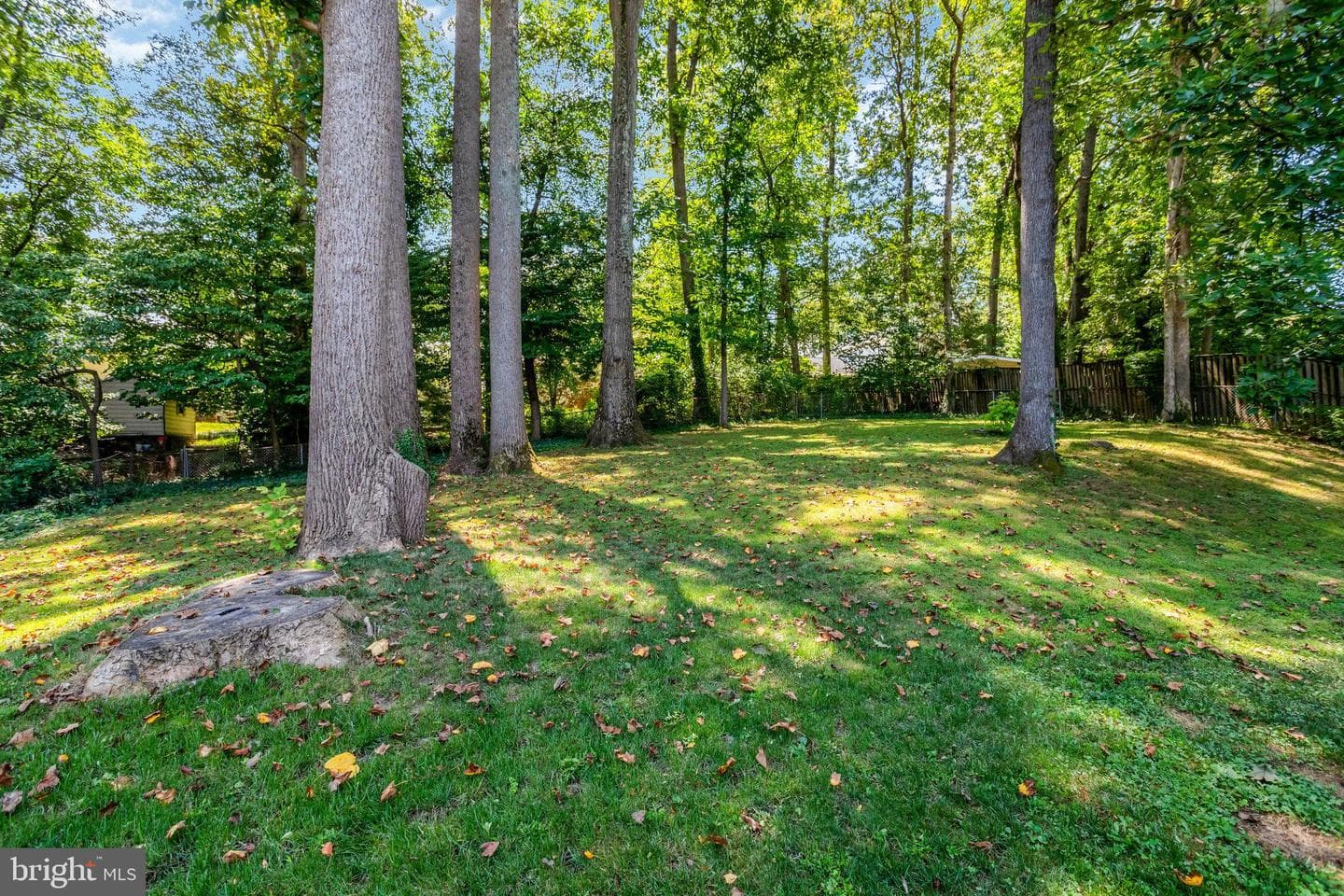 8122 Briar Creek Drive photo 60