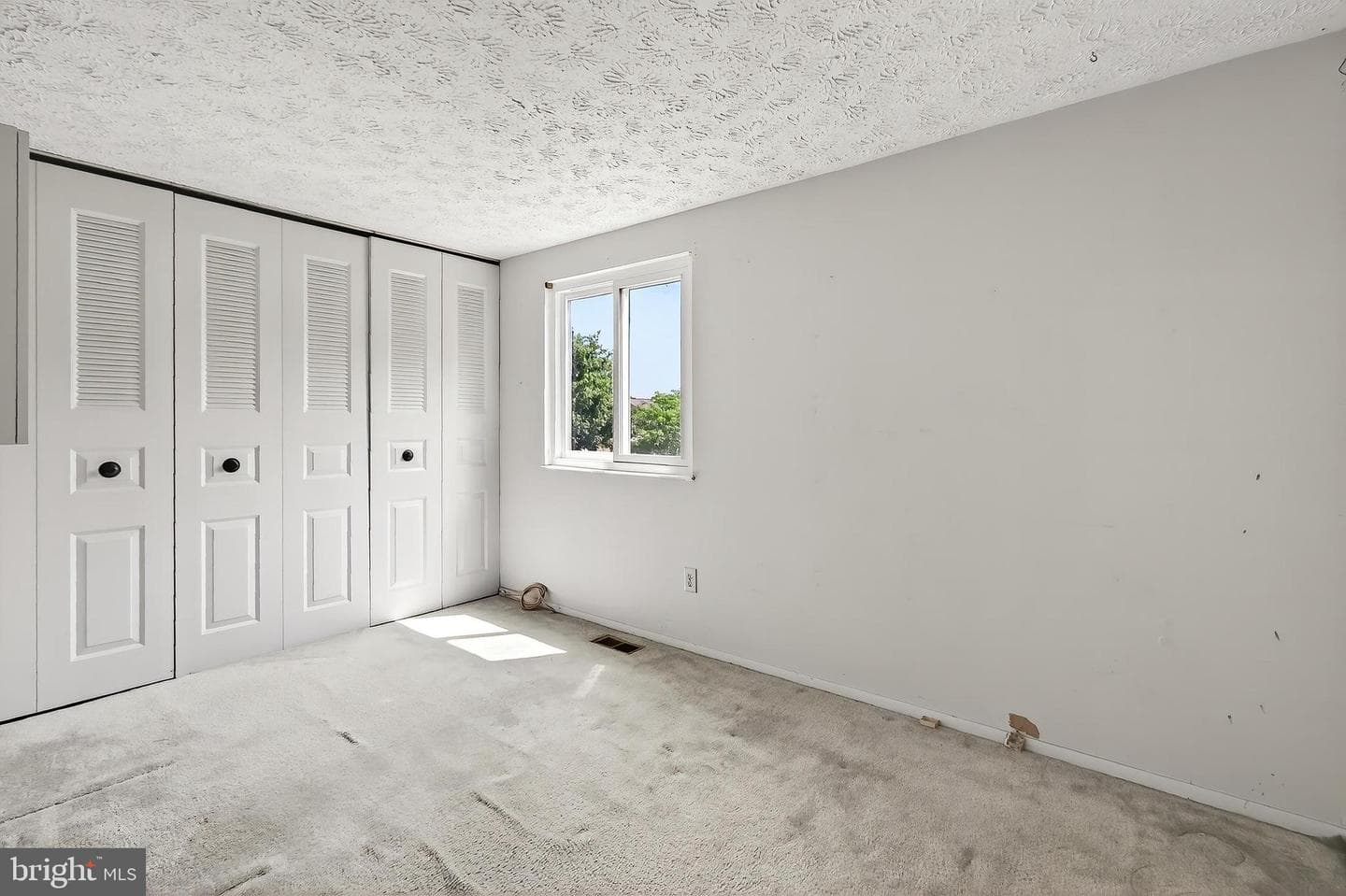 8353 Bark Tree Court photo 20