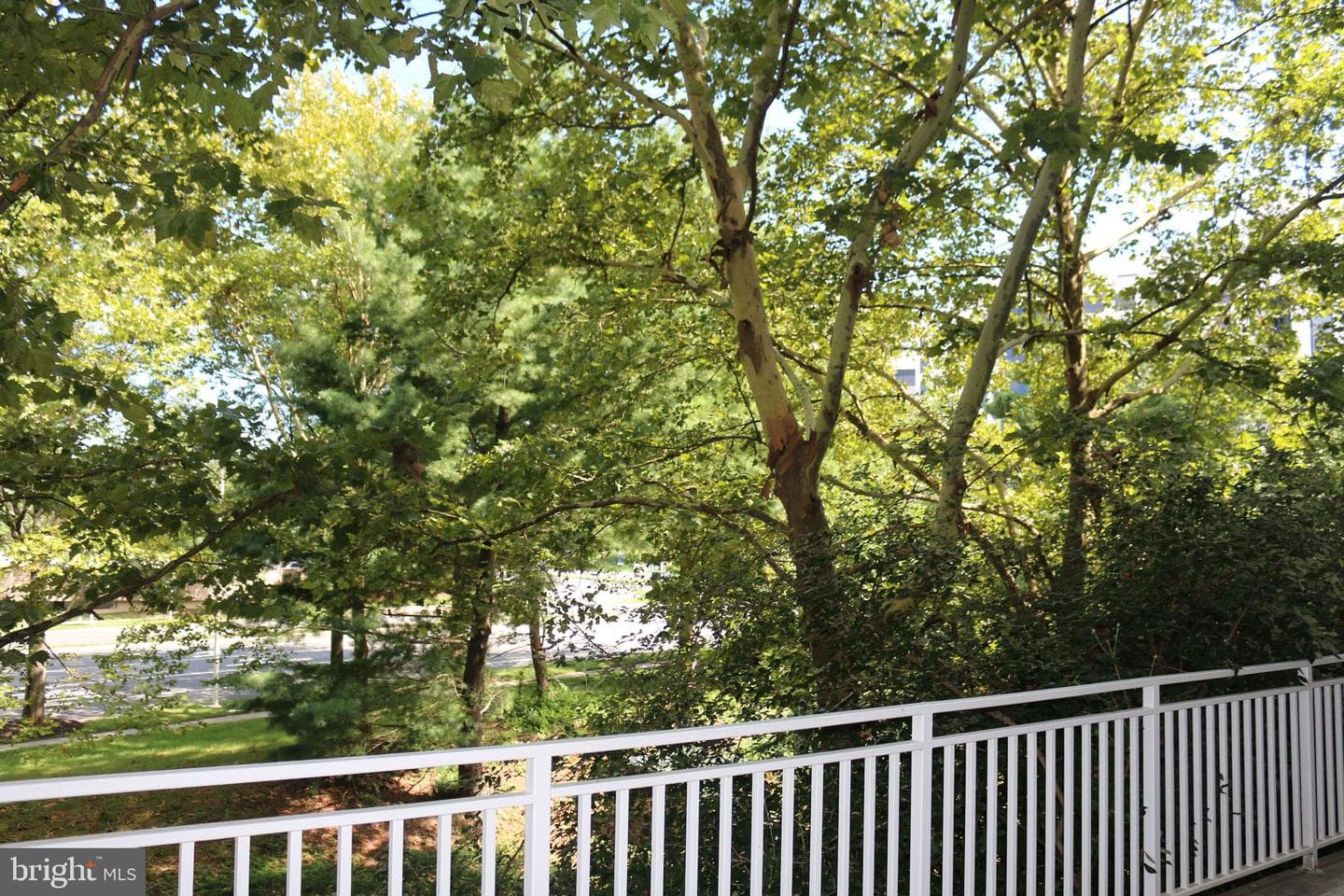 1645 International Drive #118 photo 28