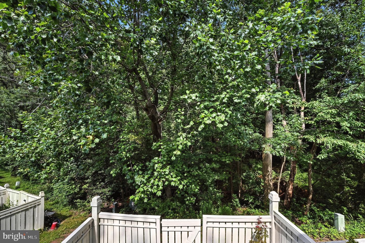 1653 Fieldthorn Drive photo 11