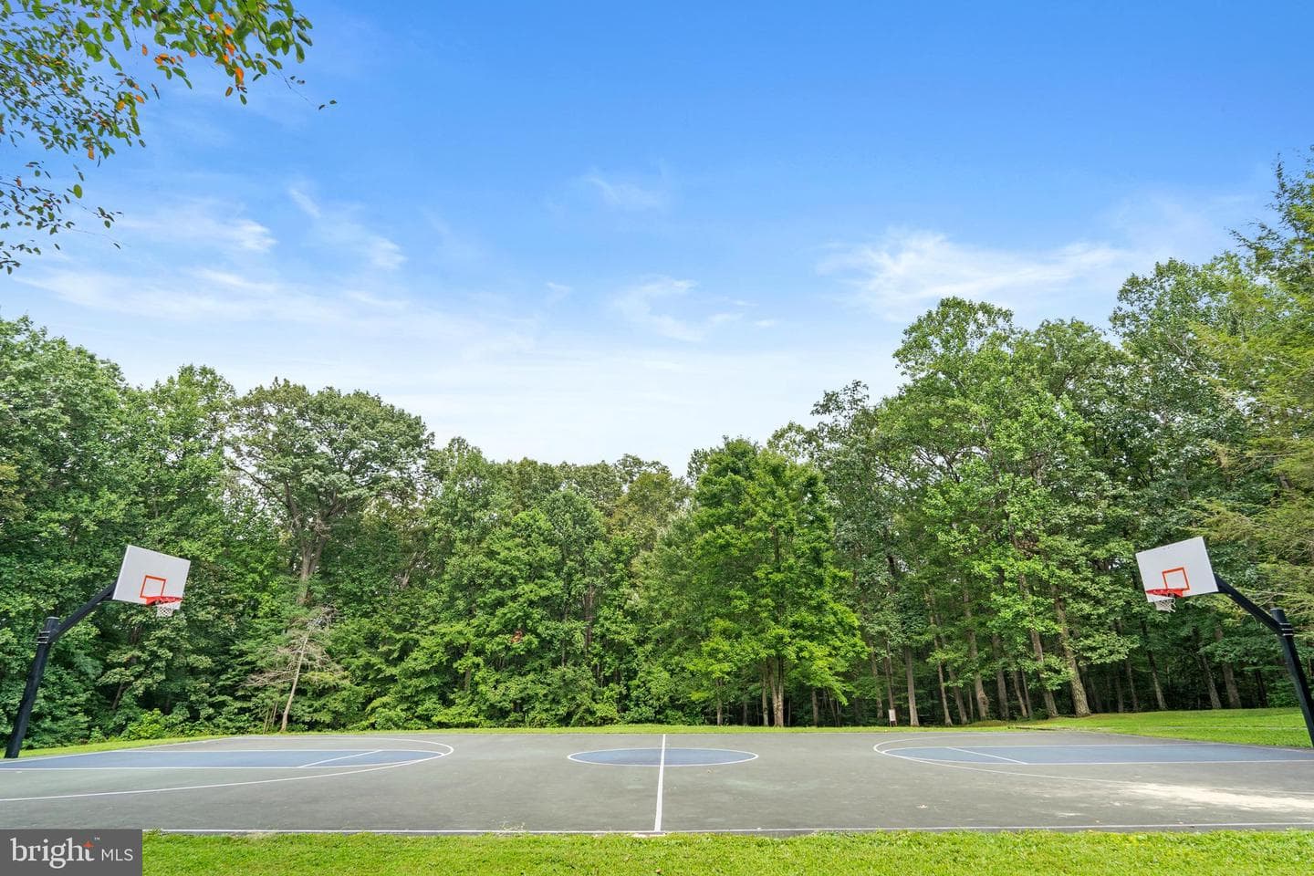 9032 Golden Leaf Court photo 35