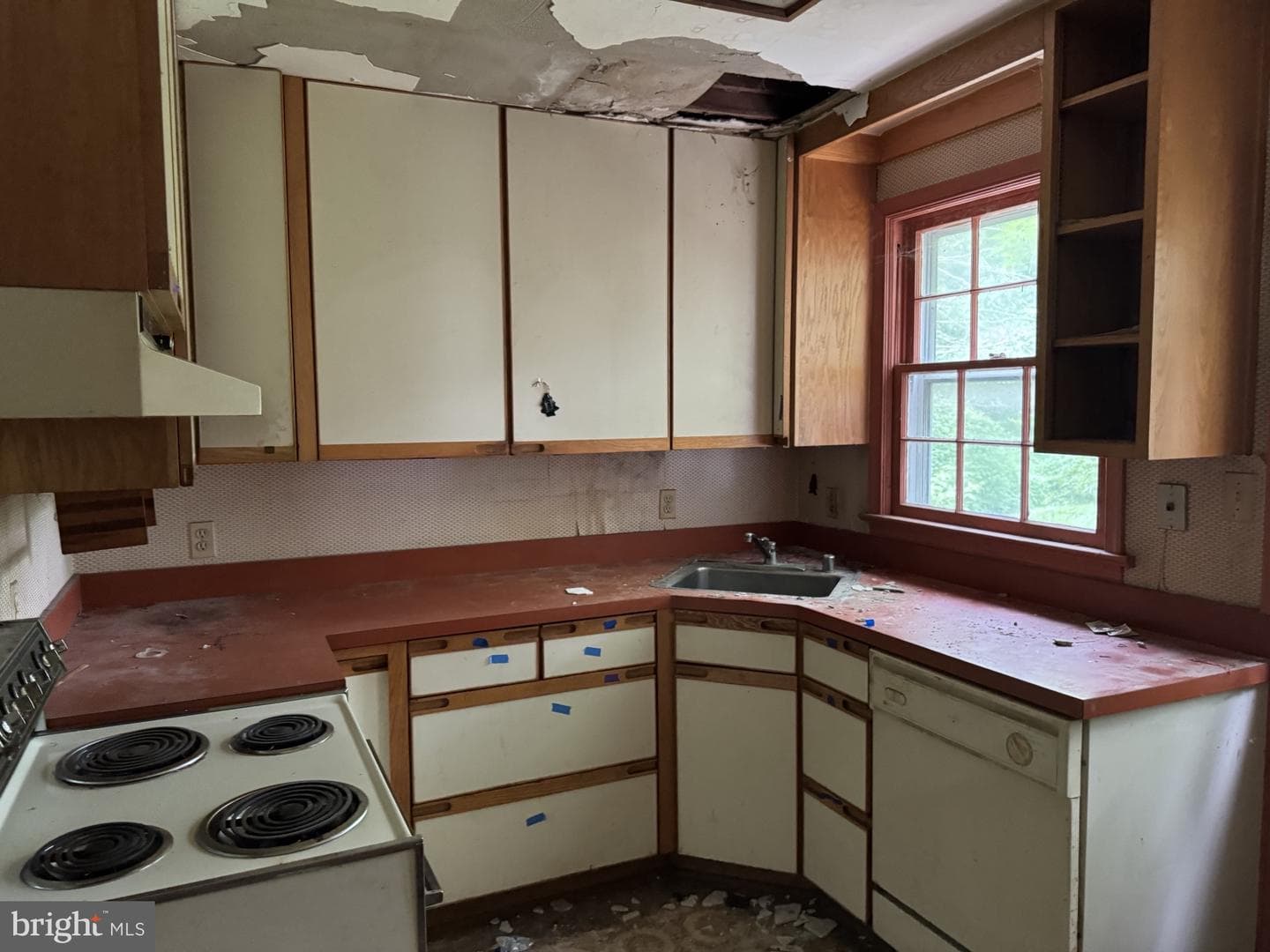 6420 Spring Terrace photo 11