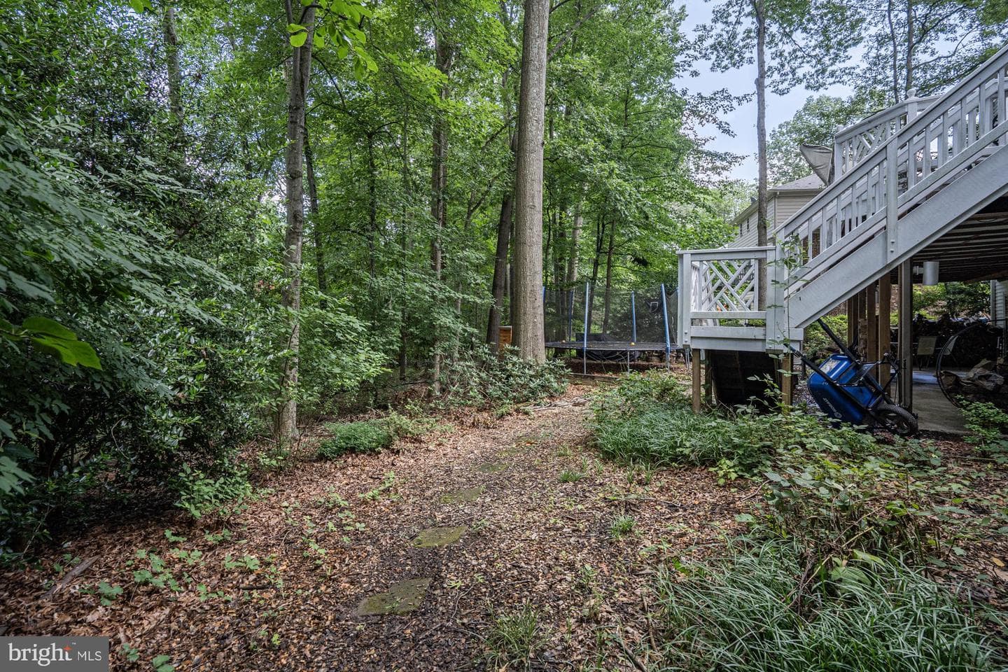 10808 Midsummer Drive photo 38