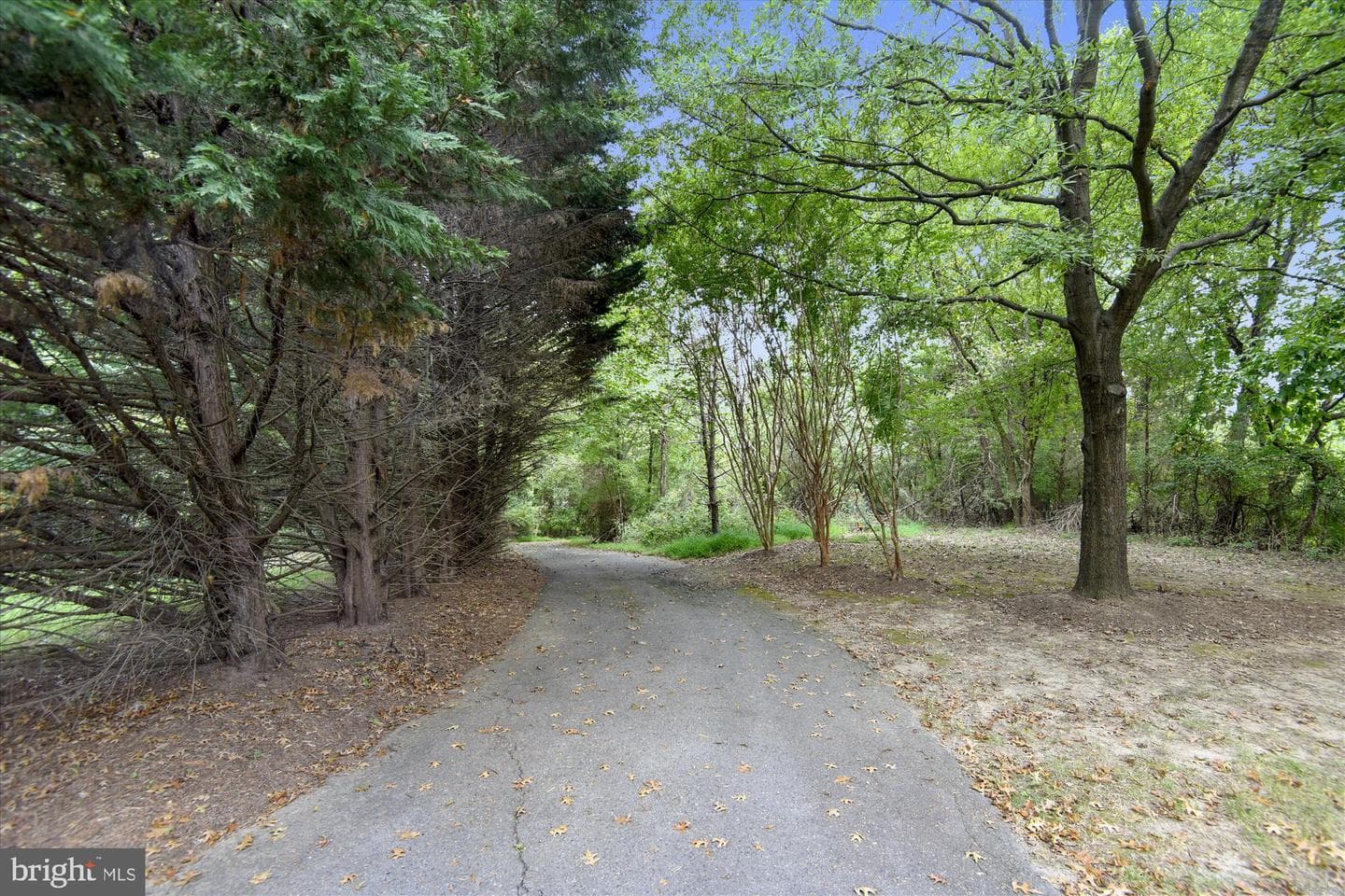 12165 Penderview Terrace #1036 photo 33