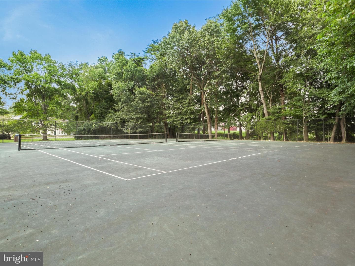 9903 Finian Court photo 41