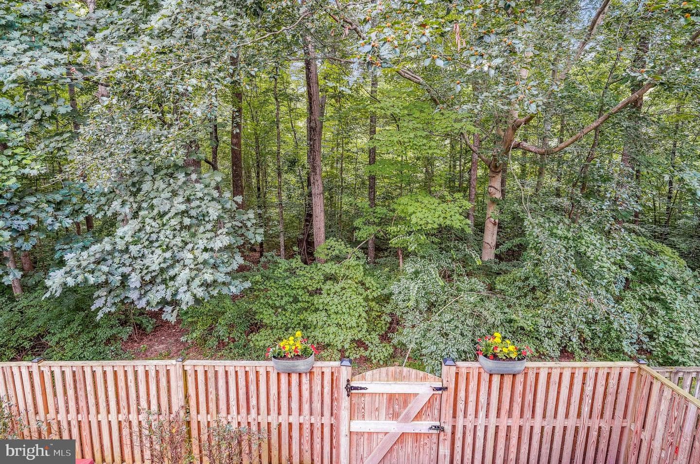 8901 Gutman Court photo 52