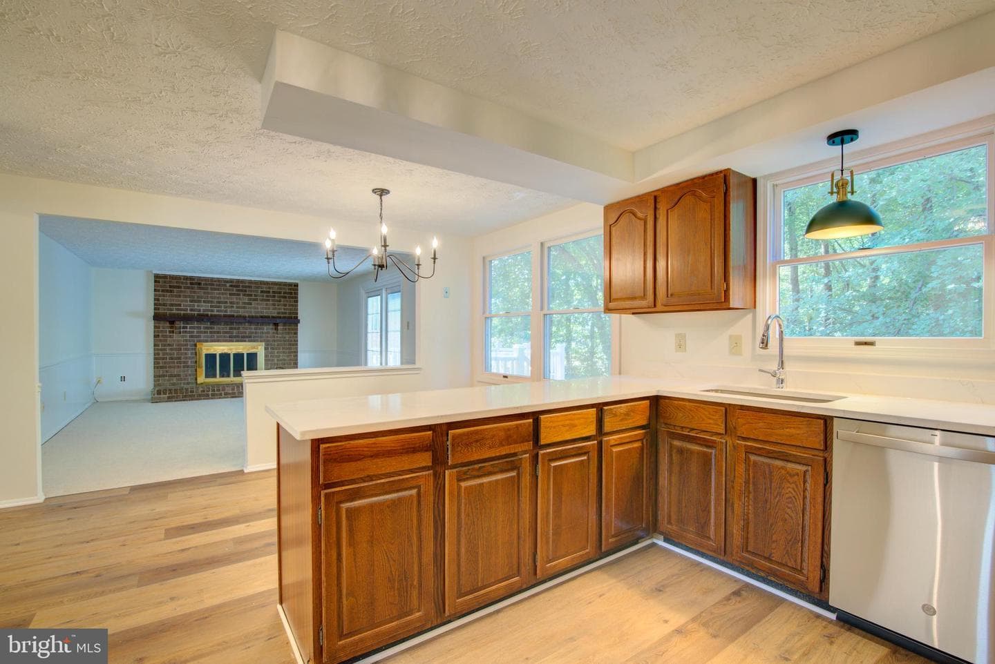10901 Santa Clara Drive photo 10